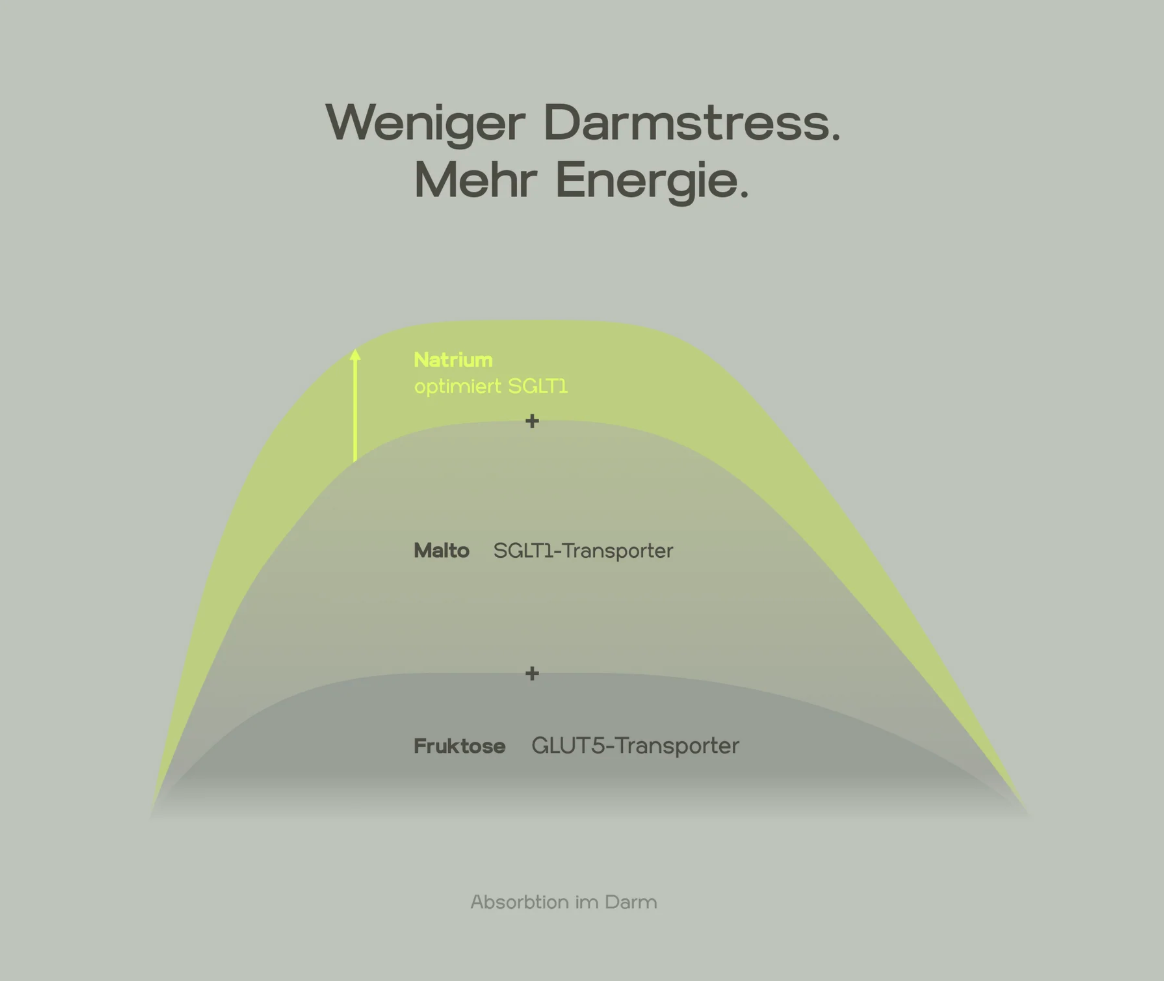 2 PLATTFUSS FLASCHEN + BETTER CARBS 1KG + HYDRATION